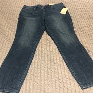 NYDJ AMI Skinny Jeans